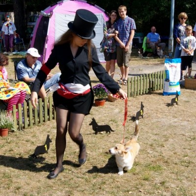 конференц-орталығы демалыс орны Польшадағы демалыс орны Надарзин Варшава